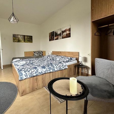 Apartman Aneta Nove Mesto Na Morave Zewnętrze zdjęcie