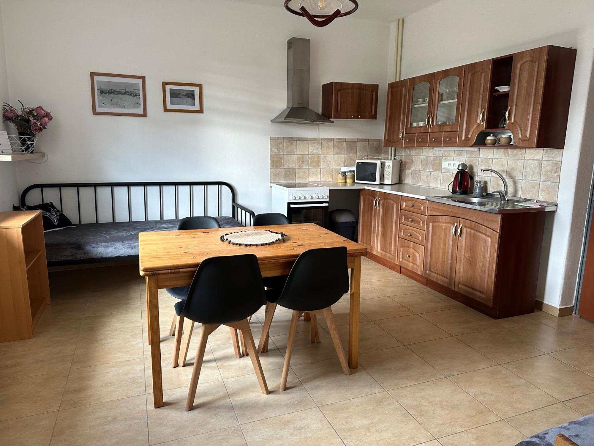 Apartman Aneta Nove Mesto Na Morave Zewnętrze zdjęcie