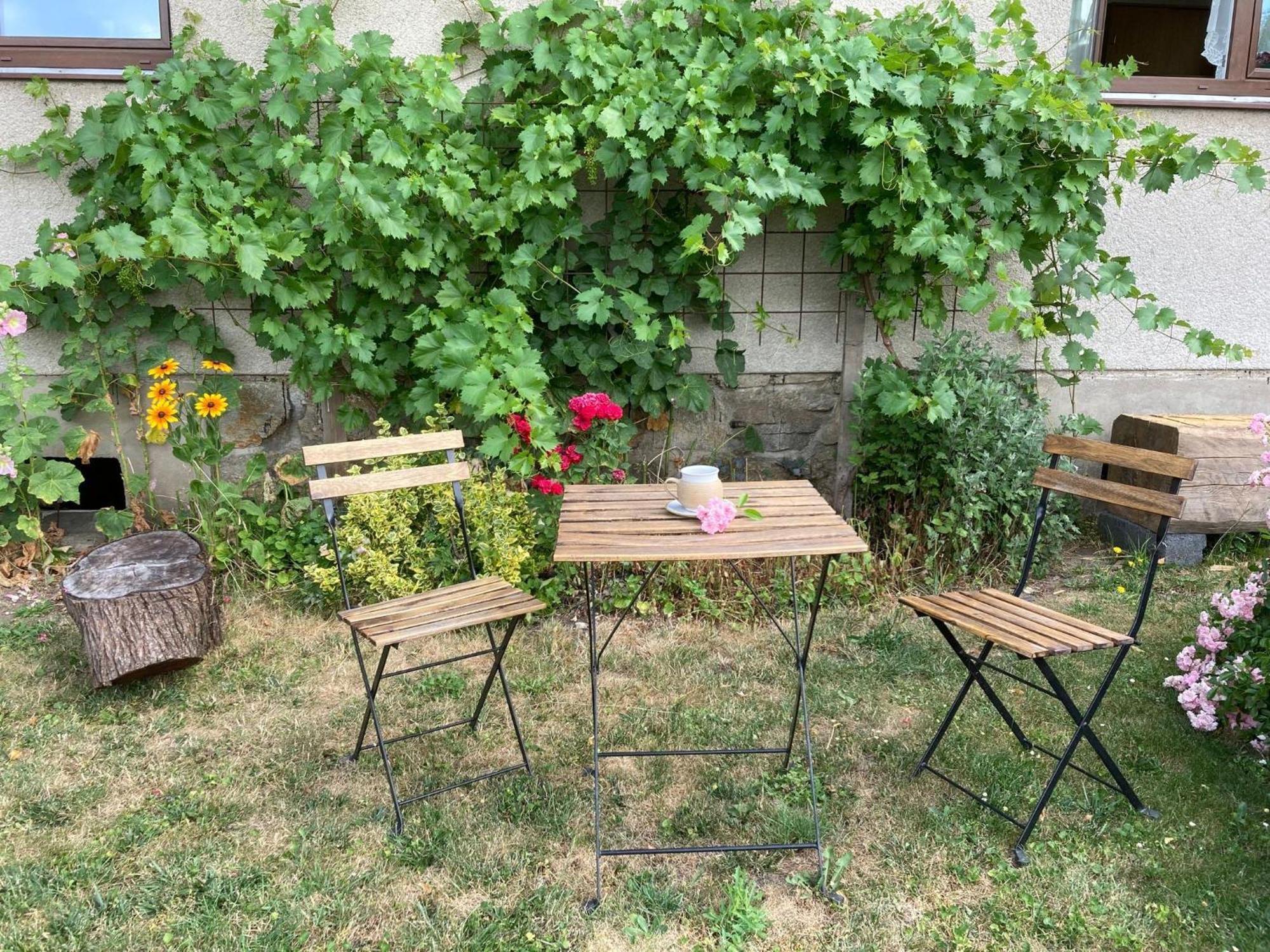 Apartman Aneta Nove Mesto Na Morave Zewnętrze zdjęcie